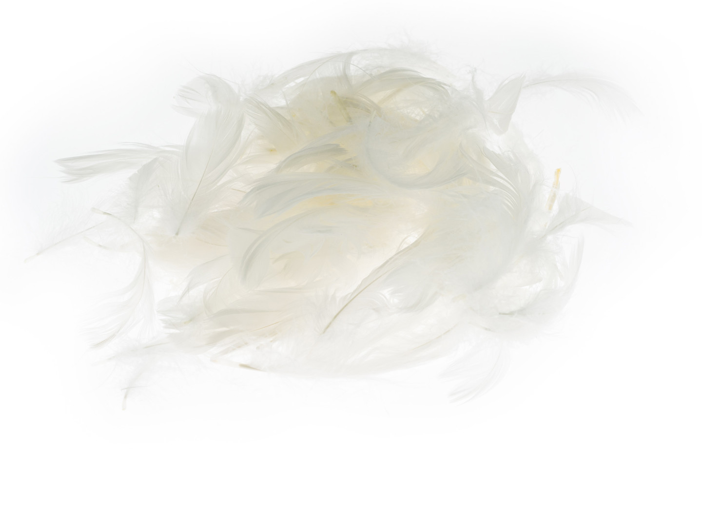 Piórka 7g (5-12cm) P7-1 Białe Brewis